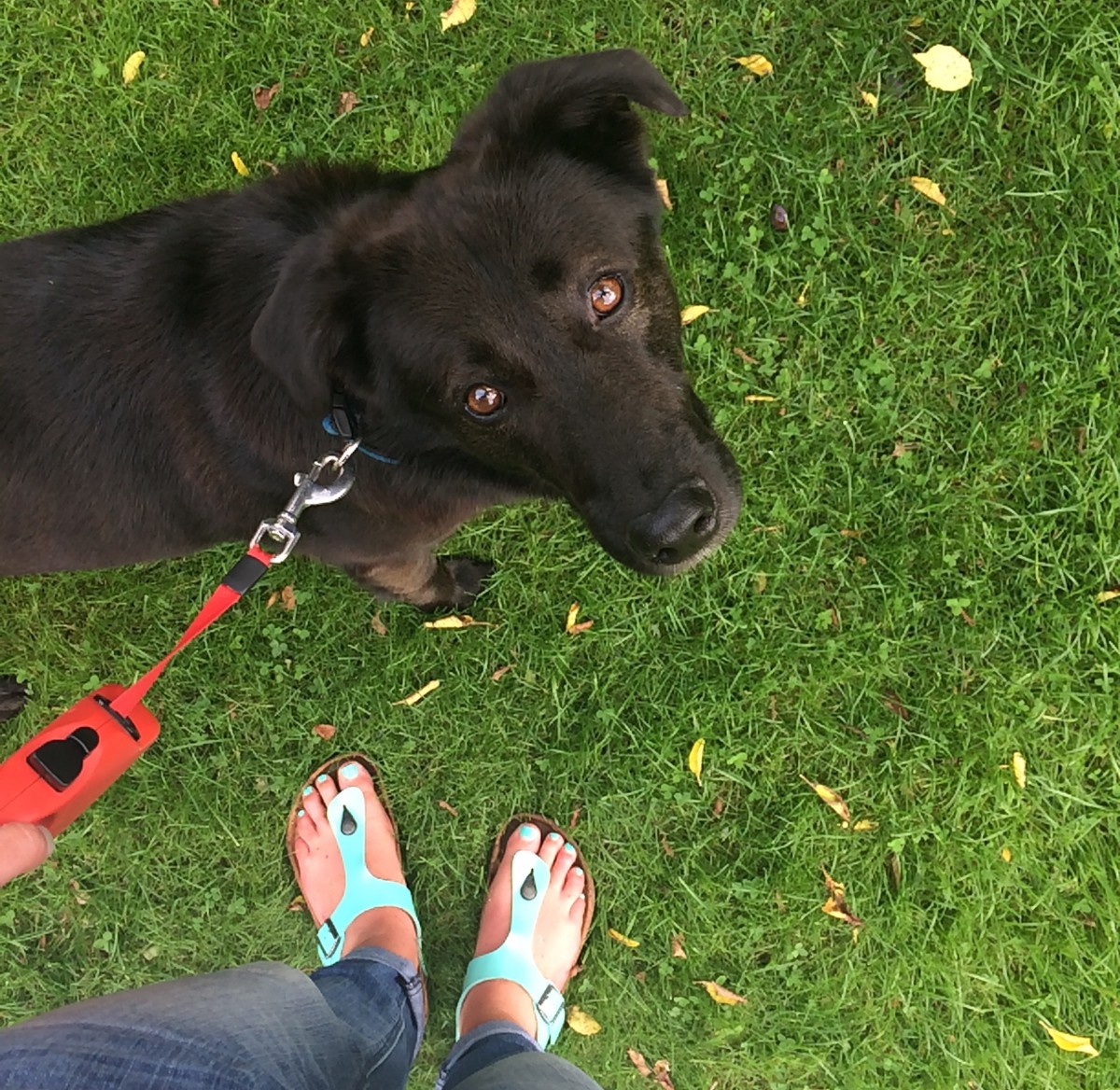 Foto 16.08.15 12 56 49